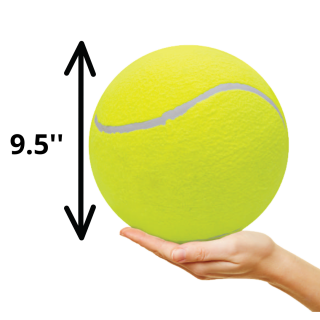 Big balle de tennis pour Chien 9.5 pouces : : Animalerie